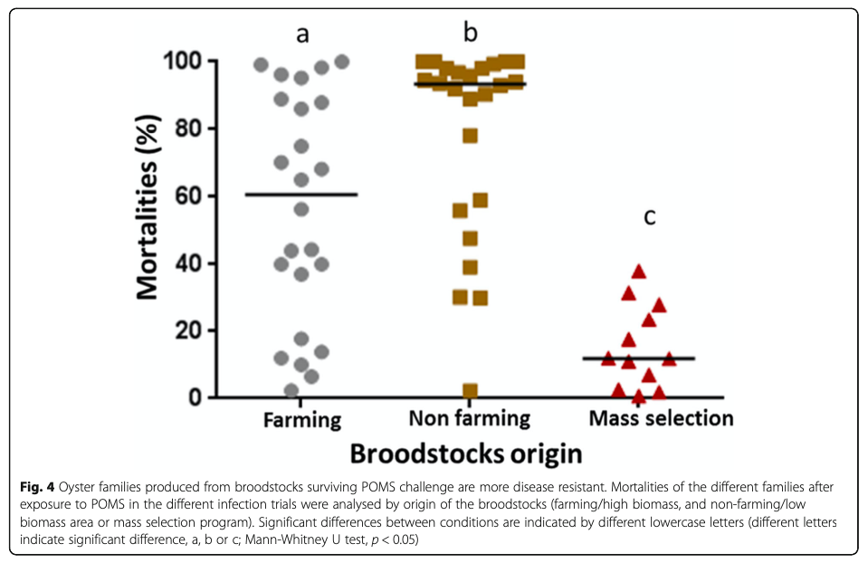 2020 - Differential basal expression of immune genes confers *Crassostrea gigas* resistance to Pacific Oyster Mortality Syndrome