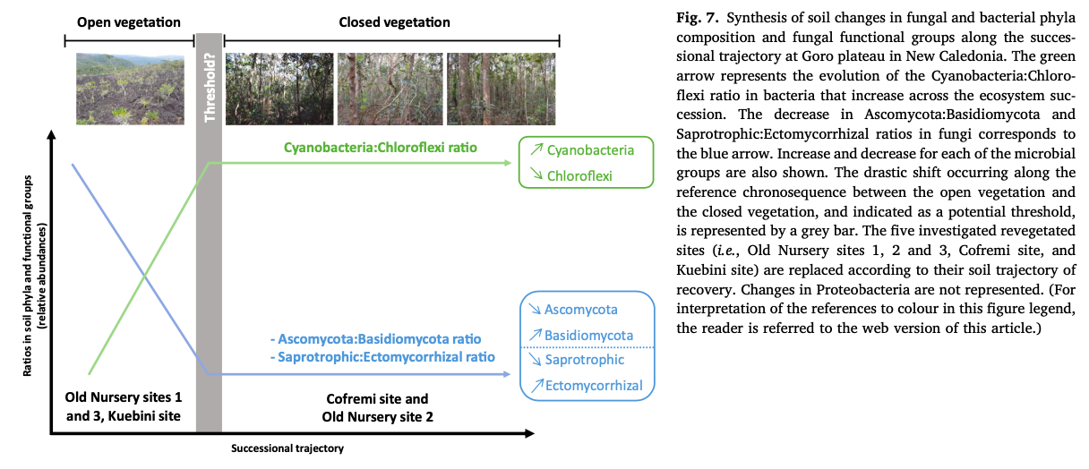 2021 - Potential of high-throughput eDNA sequencing of soil fungi and bacteria for monitoring ecological restoration in ultramafic substrates: The case study of the New Caledonian biodiversity hotspot