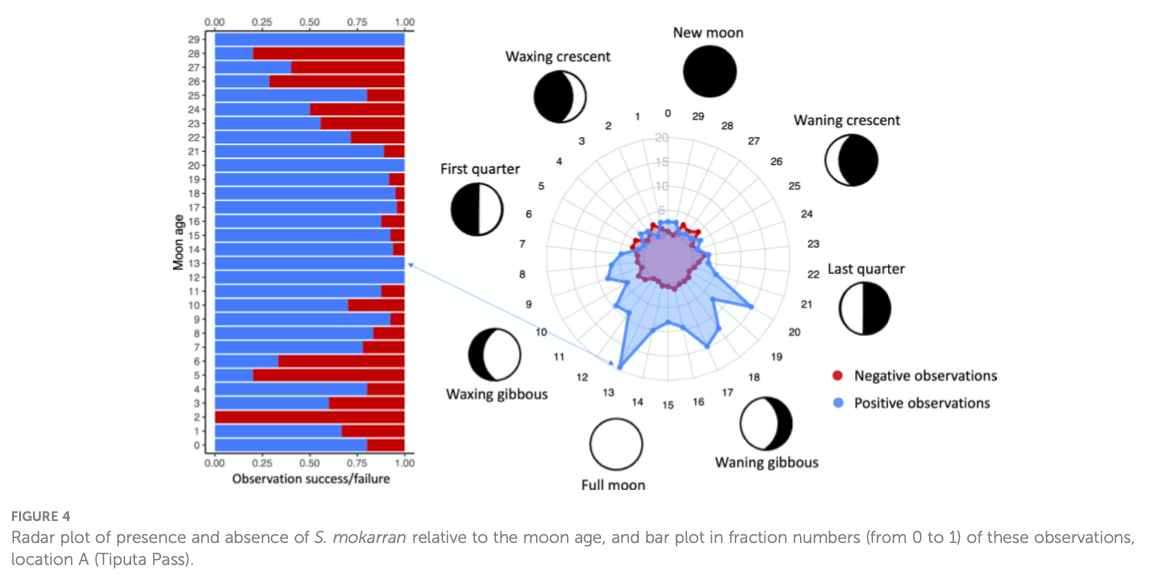 2023-08-29 First insights into the population characteristics and seasonal occurrence of the great hammerhead shark, <i>Sphyrna mokarran</i> (Rüppell, 1837) in the Western Tuamotu archipelago, French Polynesia.