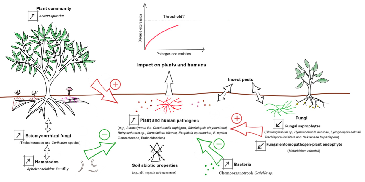 2025-01-16 - Advancing biomonitoring of eDNA studies with the Anaconda R package: Integrating soil and One Health perspectives in the face of evolving traditional agriculture practices