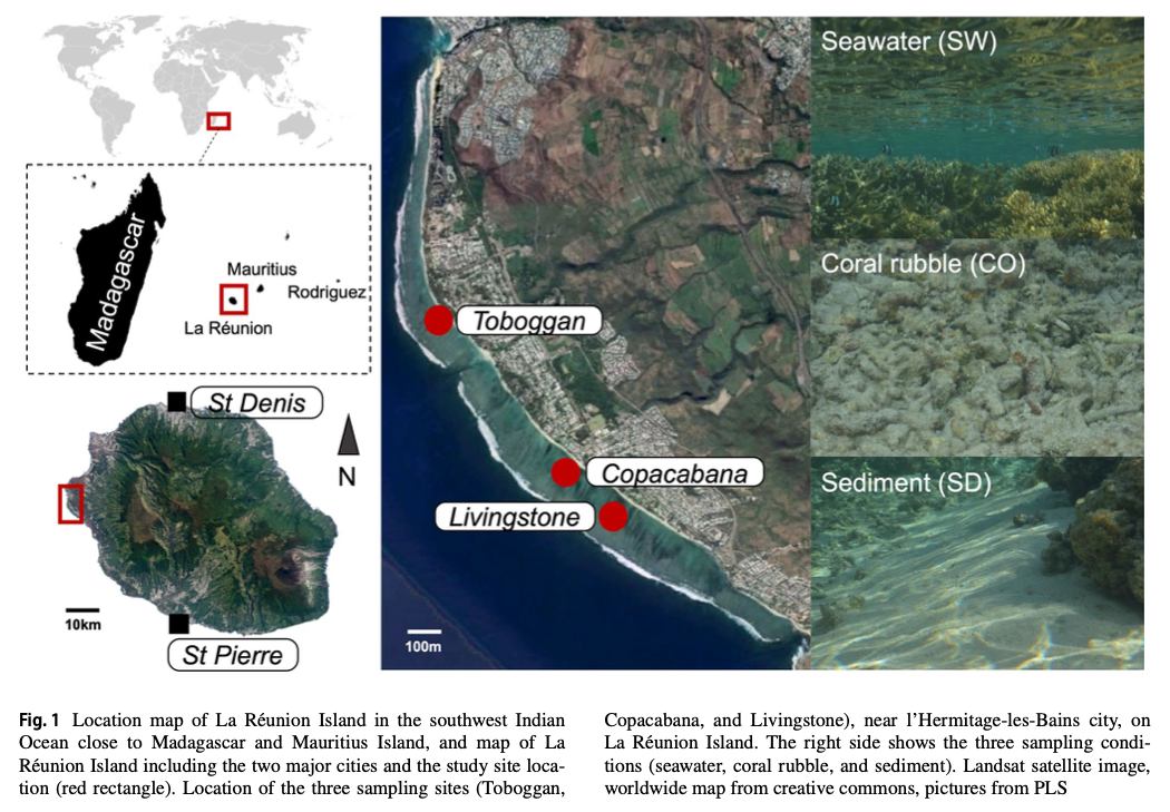 2025-01-28 - A Multimarker Approach to Identify Microbial Bioindicators for Coral Reef Health Monitoring: Case Study in La Réunion Island